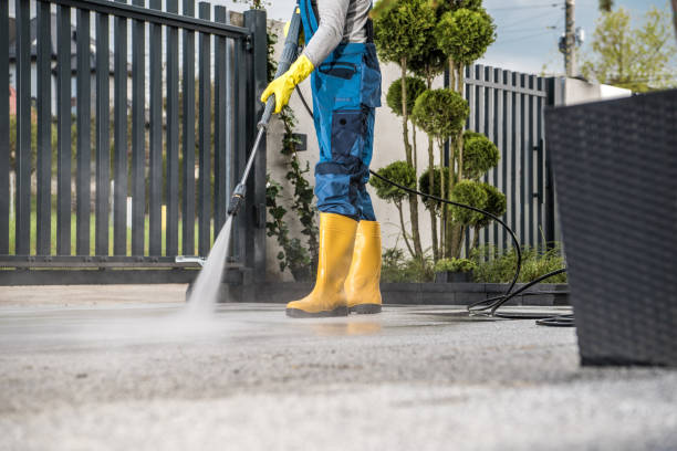 Best Local Pressure Washing Services  in Wharton, TX