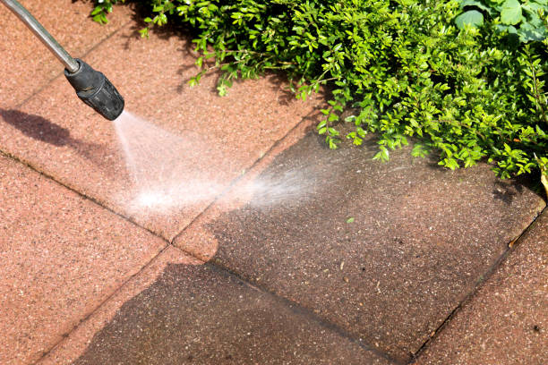 Best Exterior Home Cleaning  in Wharton, TX